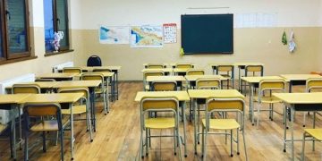 მასწავლებელმა ორსულობის გამო შვებულება ითხოვა, მას უთხრეს, რომ სამსახურში აღარ მისულიყო – ომბუდსმენი