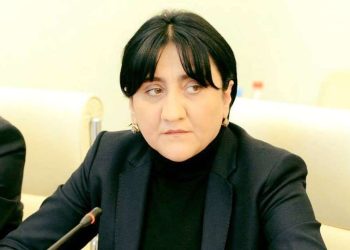 „მოგმართავთ თქვენი დახმარების იმედით“ –  ირმა ინაშვილი ვლადიმერ პუტინს ღია წერილით მიმართავს