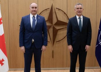 გაზაფხულზე ნატო-საქართველოს ერთობლივი სამხედრო სწავლება ჩატარდება   