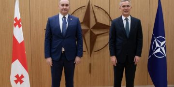 გაზაფხულზე ნატო-საქართველოს ერთობლივი სამხედრო სწავლება ჩატარდება