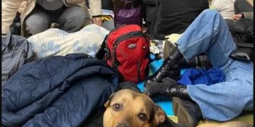 პოლონეთი სთხოვს უკრაინის მოქალაქეებს არ დატოვონ შინაური ცხოველები და თან წაიყვანონ – ტასო ლოსაბერიძე