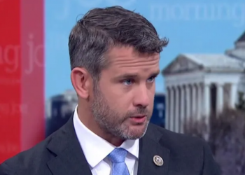 ორ რესპუბლიკელს, ლიზ ჩეინს და ადამ კიზინგერს საკუთარი პარტია ბრალდებებს უყენებს