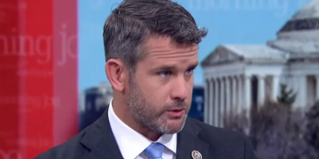 ორ რესპუბლიკელს, ლიზ ჩეინს და ადამ კიზინგერს საკუთარი პარტია ბრალდებებს უყენებს