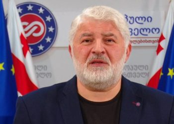 “სამწუხაროდ გვყავს ე.წ პრემიერმინისტრი…”-დამენია