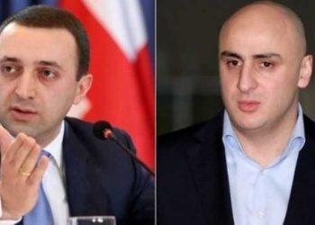 მას უნდა აეკრძალოს ქვეყნის სახელით ლაპარაკი – მელია ღარიბაშვილზე