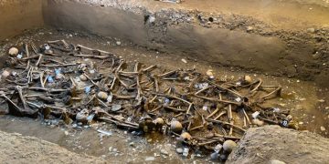 ხელვაჩაურში, ყოფილი სამხედრო ბაზის ტერიტორიაზე 29 ადამიანის ნეშტი აღმოაჩინეს