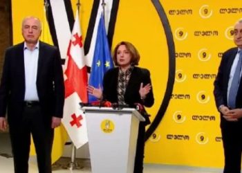 სალომე სამადაშვილი პარტია “ლელოს” შეუერთდა