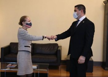 შალვა პაპუაშვილი კელი დეგნანს შეხვდა