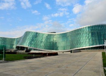 შსს-მ სოციალურ ქსელში გავრცელებულ ვიდეომასალასთან დაკავშირებით გამოძიება დაიწყო