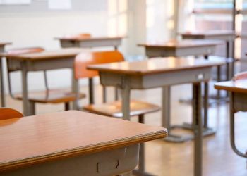 დღეს საკოორდინაციო საბჭოზე გადაწყდება, გადავა თუ არა სკოლები დისტანციურ სწავლებაზე