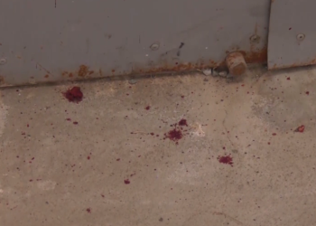 სისხლიანი გარჩევა – “ოცნების” წევრმა საქმის გასარჩევად დაჯგუფება მიიყვანა?