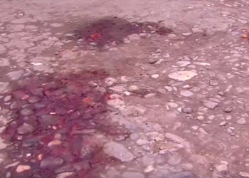 +18 – ცოლ-ქმარი 8 წლის ბავშვის თვალწინ დახოცა, შემდეგ კი ბავშვს აიძულებდა ფული მოეძებნა – საზარელი მკვლელობის დეტალები