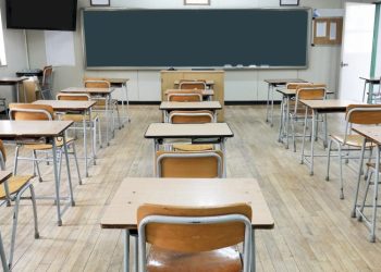 დისტანციურ სწავლებაზე ქვეყნის მასშტაბით 672 სკოლაა გადასული