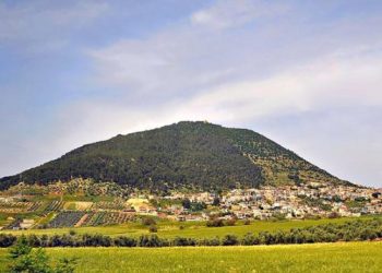 ხელისუფლება თაბორის მთაზე ორი მილიონი კვადრატული ტყის მასივს გასაყიდად ამზადებს – მედია