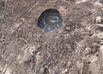 „სავარაუდოდ, ერთი საუკუნისაა“ – გურიაში უძველესი ღვინით სავსე ჭური აღმოაჩინეს