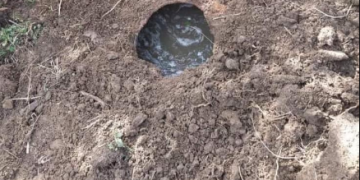 „სავარაუდოდ, ერთი საუკუნისაა“ – გურიაში უძველესი ღვინით სავსე ჭური აღმოაჩინეს