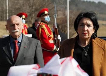 პრეზიდენტის მრჩევლად თავდაცვის ყოფილი მინისტრი დავით თევზაძე დაინიშნა