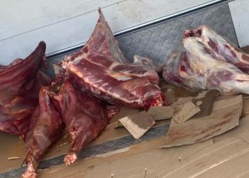 ნახევარ ტონამდე გაურკვეველი წარმომავლობის ხორცი და ანტისანიტარია – სეს-მა თბილისში კუსტარულ საწარმოს მიაგნო