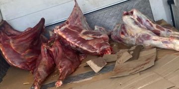 ნახევარ ტონამდე გაურკვეველი წარმომავლობის ხორცი და ანტისანიტარია – სეს-მა თბილისში კუსტარულ საწარმოს მიაგნო