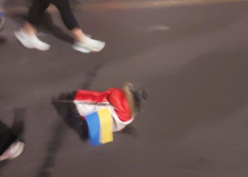 „როგორ მოგწონთ? ქართული დროშა აცვია ძაღლს და ზედ უკრაინის დროშა!“ – ლევან თაქთაქიშვილი