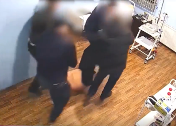 რა მოსთხოვა უკრაინის პროკურატურამ საქართველოს ხელისუფლებას?