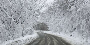 ნაქერალას უღელტეხილზე ტრაილერების გადაადგილება აკრძალულია