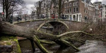 დასავლეთ ევროპაში შტორმ „იუნისს“ უკვე 10 ადამიანი ემსხვერპლა