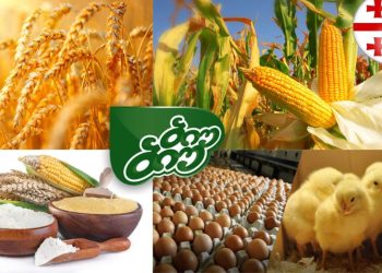 “ვიბარებთ სიმინდს და ხორბალს” – “ბიუ ბიუ”-ს ქათმების მწარმოებელი კომპანია “ჩირინა” ფერმერებს მიმართავს