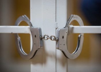 ნიდერლანდების სასამართლომ ორი უკრაინელი გაათავისუფლა, რათა სამშობლოსთვის ომში ჩაერთონ