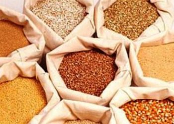 უკრაინამ 7 პროდუქტის ექსპორტი აკრძალა – რომელი და რა მოცულობით შემოდიოდა საქართველოში