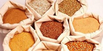 უკრაინამ 7 პროდუქტის ექსპორტი აკრძალა – რომელი და რა მოცულობით შემოდიოდა საქართველოში