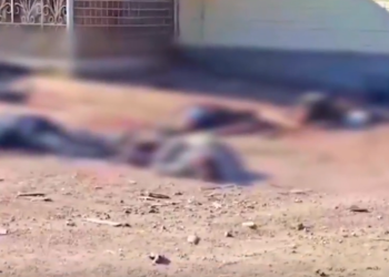 (ვიდეო) – რუსეთმა პურის რიგში მდგომი ხალხი ჩაცხრილა – პუტინის არმიის მორიგი სისასტიკე