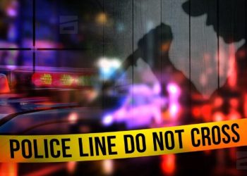 გლდანში პირმა 82 წლის ნათესავი ქალი მოკლა, შემდეგ კი ბინიდან ტელევიზორი ლომბარდში ჩასაბარებლად წაიღო – შსს