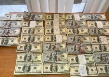 უკრაინის მოქალაქემ ქვეყნიდან 320 000 დოლარის გატანა სცადა