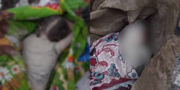 ხარკოვის ოლქში რუსმა ოკუპანტებმა მცირეწლოვანი გოგონა და მისი ბებია მოკლეს