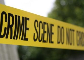 ბაღდათში ქუჩის ძაღლებმა შუახნის მამაკაცი დაგლიჯეს