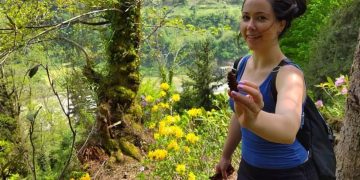 „ჩვენი ოჯახი უვადო პატიმრობას ელის დამნაშავისთვის“ – თბილისში მოკლული შანაი ბრუკის ძმა