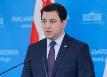 სააკაშვილი ევროსასამართლოს უჩივის ევროსასამართლოში – არჩილ თალაკვაძე