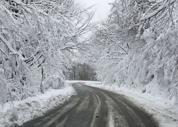 ნაქერალას უღელტეხილზე ტრაილერების გადაადგილება აკრძალულია