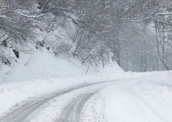 ვაზიანი-გომბორი-თელავის საავტომობილო გზის კმ36-კმ50 მონაკვეთზე ავტოტრანსპორტის გადაადგილებაზე შეზღუდვა დაწესდა