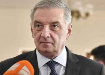 “ზელენსკის გადაწყვეტილება განპირობებულია ნაციონალური მოძრაობის შემადგენელი ნაწილის მიერ” – ვოლსკი