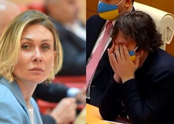 “რატომ გახდა ეს ფოტო ამაზრზენი კომენტარების საფუძველი?” – ნინო წილოსანი