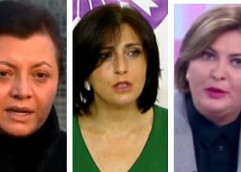 “ცილისწამებაა, როდესაც ზვიად გამსახურდიას მიაწერენ ამ დისკრიმინაციულ გამონათქვამს..” – ეკა ხერხეულიძე