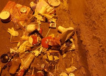 “ჩახეთქეს, დალიეს, მოწიეს და წაეთრნენ” – ნინო სტურუა