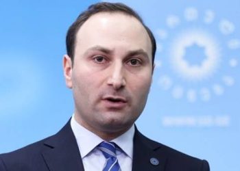 “მშვიდობაში მოახმაროთ უკრაინის ხელისუფლებას ნაციონალური მოძრაობა” – ანრი ოხანაშვილი