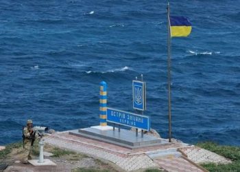 კუნძულ ზმეინიზე მტრის საზენიტო სარაკეტო სისტემა გავანადგურეთ – უკრაინა