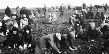 ჩეხეთმა  ჰოლოდომორი უკრაინელი ხალხის გენოციდად აღიარა