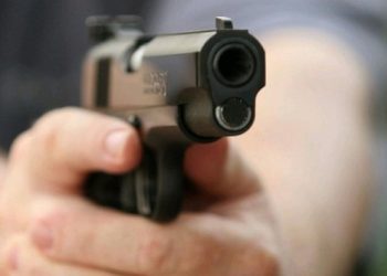 “ჯერ მამას მისივე იარაღით ესროლა თავში, შემდეგ კი, დედას ესროლა სხვა იარაღიდან” – დანაშაულის დეტალები