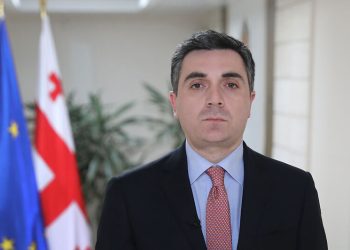 “არ წყდება საქართველოს ომში ჩაბმის მცდელობები და პროვოკაციები” – ახალი მინისტრი ელჩის გაწვევაზე