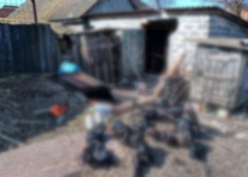 +18 – ხარკოვში, სარდაფში 3 ნაწამები ცხედარი იპოვეს, ერთი, სავარაუდოდ, ბავშვია – უკრაინა